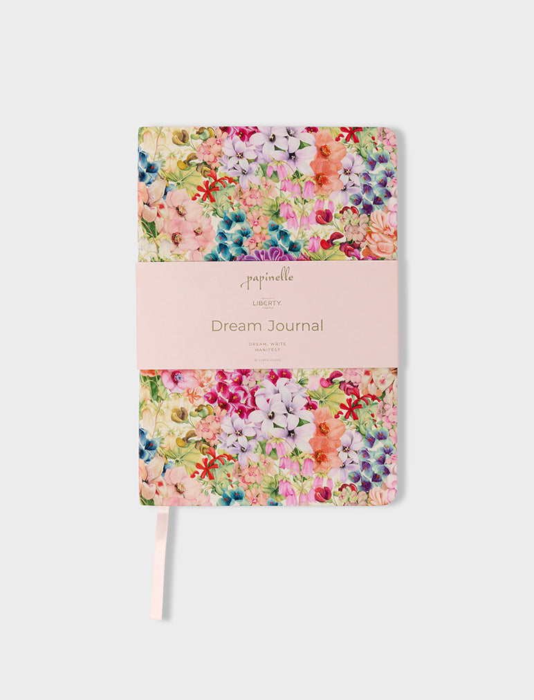 Painted Travels Dream Journal